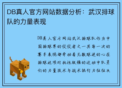 DB真人官方网站数据分析：武汉排球队的力量表现